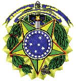 MINISTÉRIO DO MEIO AMBIENTE INSTITUTO BRASILEIRO DO MEIO AMBIENTE E DOS RECURSOS NATURAIS RENOVÁVEIS INSTRUÇÃO NORMATIVA Nº 31 DE 31 DE DEZEMBRO DE 2002 O Presidente do Instituto Brasileiro do Meio