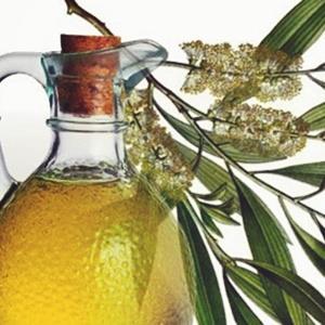 2- Oléo de Melaleuca Também conhecido como Tea Tree. Tem propriedades antibacterianas, cicatrizantes, fungicidas e desodorantes.