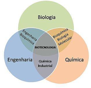 Projeto FEUP 1MIEEC07_02 5 Oferta Formativa M. I.