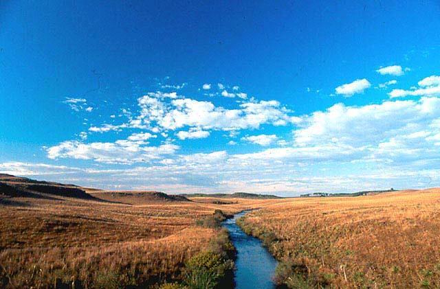 Paraná. Coxilhas, Pampa Gaúcho/Uruguaio.