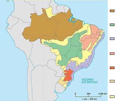 brasileiro e vales úmidos) Caatinga Depressão