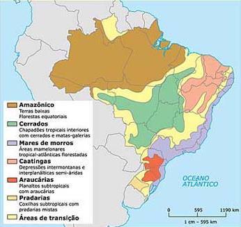 Domínios Morfoclimáticos (relação do relevo com a intempérie) Domínio Clima Relevo e vegetação resultantes Clima e Domínios Morfoclimáticos (resumo) Amazônico Cerrado (interior) Marres de Morros