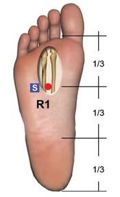 F3 [1] = R1 Rins (YIN) - Rins, Aparelho Suprarrenal, Cérebro, Olhos, Ossos Cavidade Nasal F3 1 (R1) Sedação Inquietação, neurose, pressão sanguínea anormal, males do aparelho reprodutivo, garganta