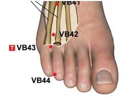 F5 [2] = VB43 Vesícula Biliar (YANG) Vesícula Biliar, Olhos, Músculos Área Cerebral F5 2 (VB43) Tonificação Tonturas, olhos vítreos, membros lerdos, andar cambaleante, expressão morta, pressão