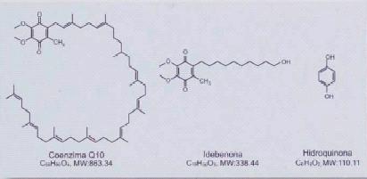 1 LITERATURA IDEBENONA MIN. 98% INCI name: Hydroxydecyl Ubiquinone. Nome químico: 2-(10-Hydroxydecyl)-5,6-dimethoxy-3-methyl-p-benzoquinone. Fórmula molecular: C19H30O5. Peso Molecular: 338,44.