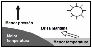 Independentemente da viabilidade econômica desse processo, ainda em fase de pesquisa, na produção de energia pela técnica citada nessa matéria, a celulignina faria o mesmo papel a) do gás natural em