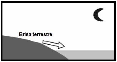 e) do reator nuclear em uma usina termonuclear. Alternativa A A celulignina faria o mesmo papel do gás natural em uma usina termoelétrica, ou seja, sofreria combustão. 0.