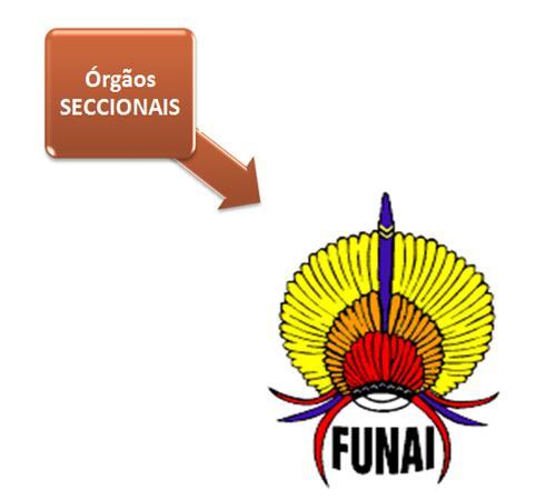 FUNAI ESTRUTURA ORGANIZACIONAL FUNAI ÓRGÃOS SECCIONAIS Fonte: