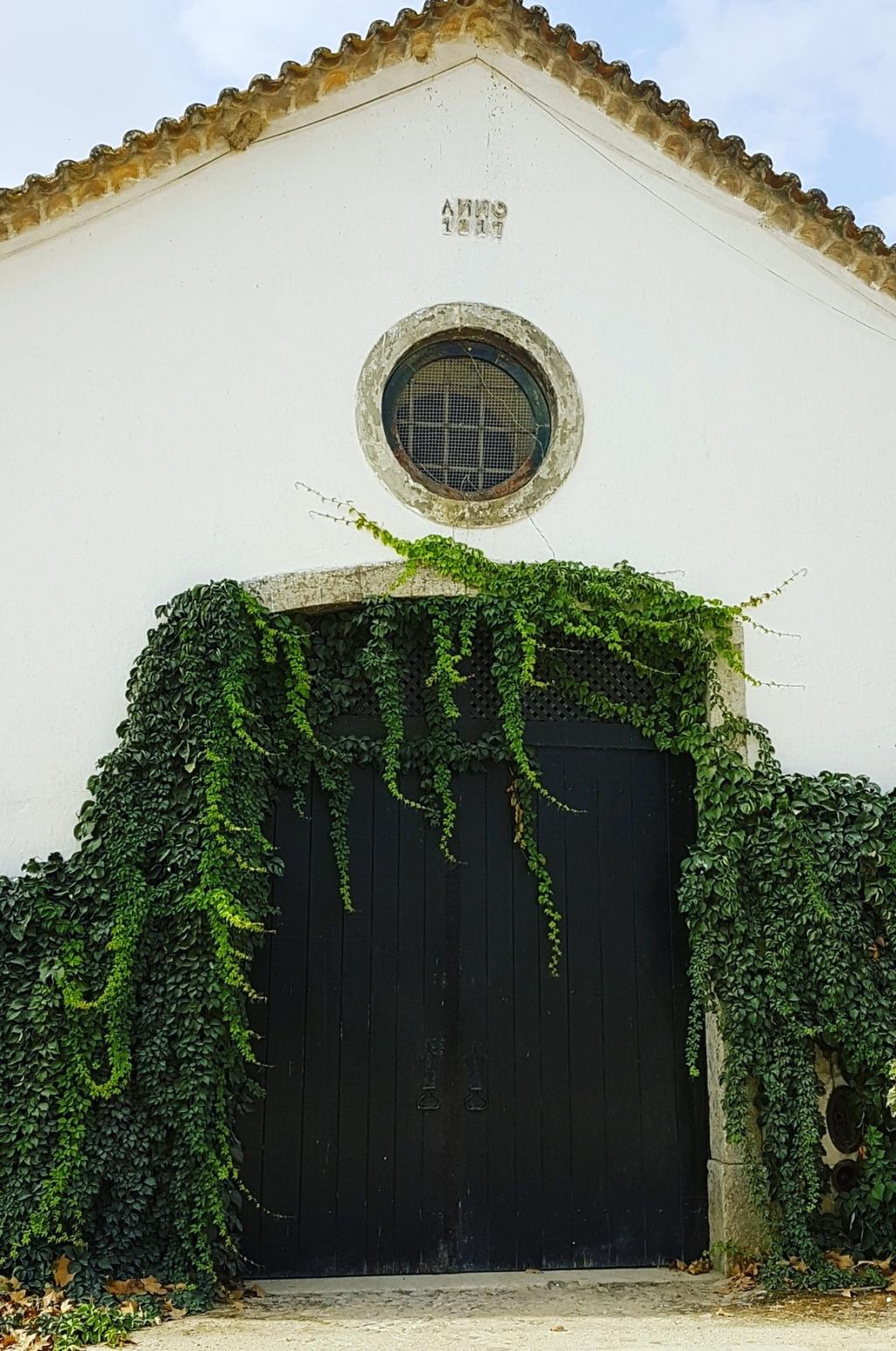 Desde 87 Pelos portões da Adega Velha, saíram ao longo dos últimos 200 anos muitos dos melhores vinhos produzidos em Portugal.