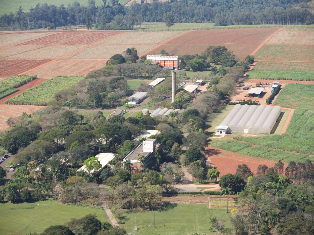 CTC Centro de Tecnologia Canavieira O estado do Mato Grosso do Sul é atendida por 2 gerentes regionais: Glaycon Nery Brigagão E-mail glaycon@ctc.com.