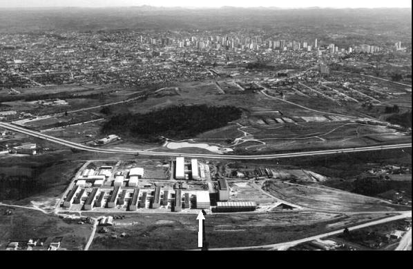 A comissão era constituída pelos professores Algacyr Munhoz Maeder (Diretor da Escola de Engenharia), Orlando Teodorico de Freitas (Docente do Departamento de Histologia) e Arnaldo Moura (Diretor da