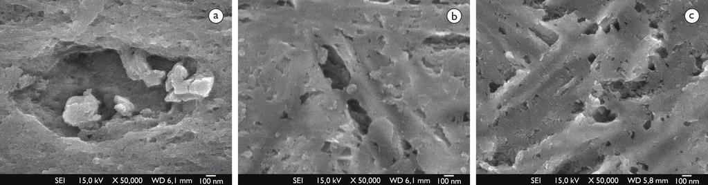 Análise de precipitados por microscopia eletrônica de varredura e de transmissão em um aço ao boro Figura 3. Precipitados observados por MEV nas temperaturas de austenitização de: (a) 870 C; (b) 1.