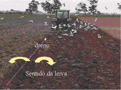 4 Camalhões de base larga: Uma opção para drenagem superficial de várzeas muito planas na região Figura 5. Formação do dreno entre os camalhões. Pelotas, RS, 2006.