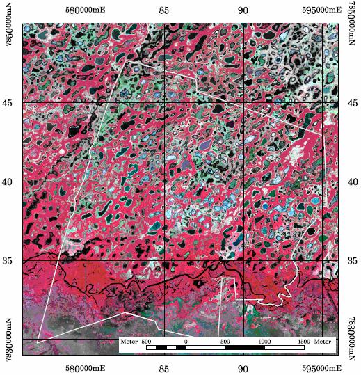 Figura 3 - Região das fazendas Rio Negro e Barranco Alto Tabela 1 - Características das respostas espectrais para baías e salinas Salinas Circulares, ovaladas ou oitavadas. Formações mais regulares.