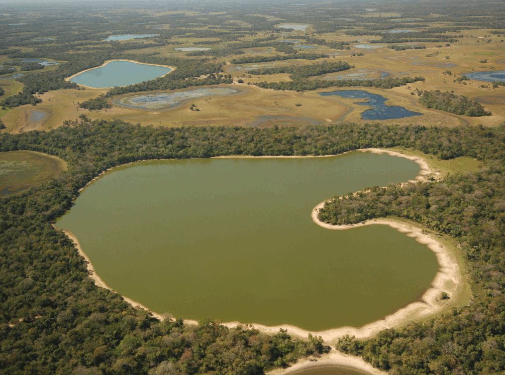 Apresenta vegetação em todo o seu entorno e/ou uma faixa de areia, mas não Chega a ser tão característica como as das salinas.