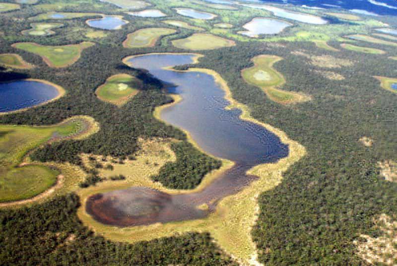 179 ha, compreendendo os limitas das fazendas Barranco Alto e Rio Negro. A área total de lagoas encontradas foi de aproximadamente de 4.833 hectares, sendo encontradas 1.042 ha de salinas e 3.