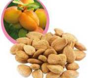 AMYGDALIN Bitter apricot extract Conhecida também como Laetrile, substância rica em Vitamina B17, é um composto existente em uma série de sementes de frutas, inclusive no caroço do damasco, sementes