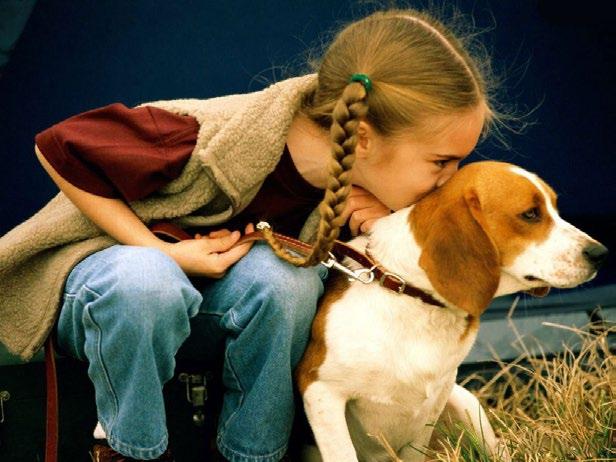 Preocupada com o bem-estar animal, o Grupo PREMISSE lançou uma linha de produtos para atender as necessidades de higiene e limpeza de cães e gatos, a PETISSE.