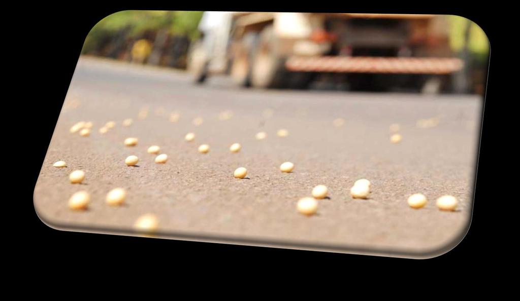 4. Perdas da safra no transporte rodoviário da soja até o