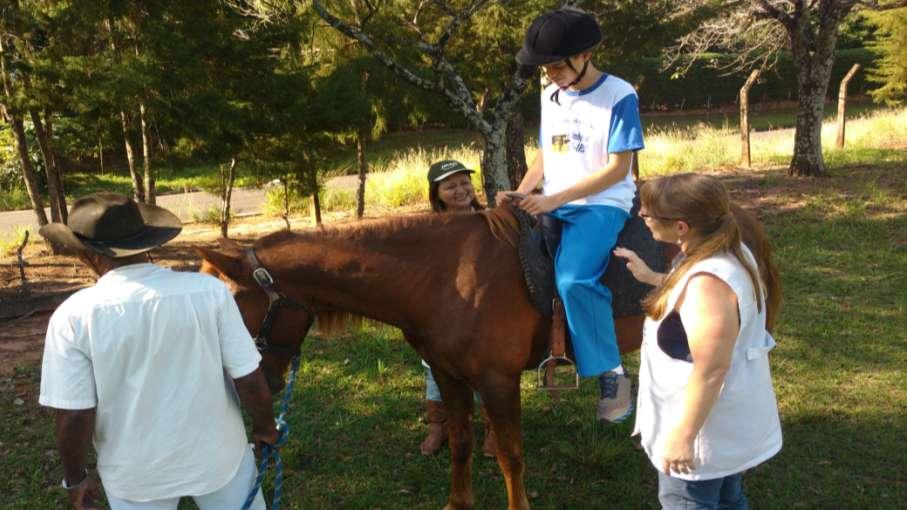 Sessão de Equoterapia no