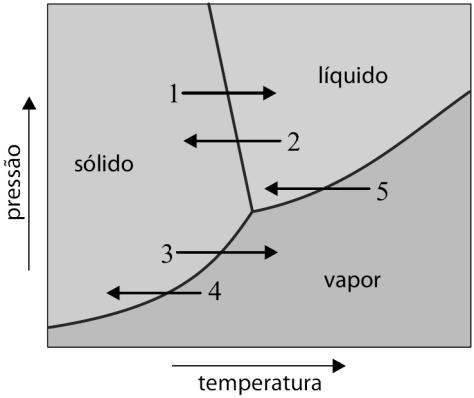 O processo de liofilização segue as seguintes etapas: I. O alimento é resfriado até temperaturas abaixo de 0 ºC, para que a água contida nele seja solidificada. II.