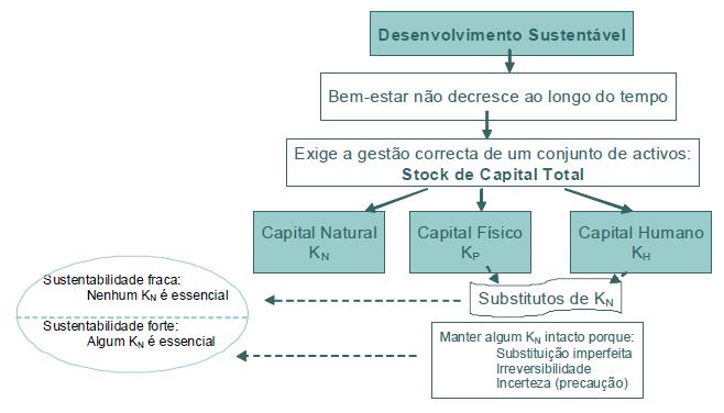 Stock de capital e