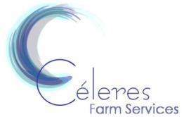 38411-114 www.celeres.com.