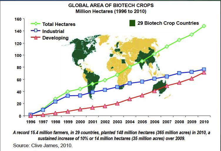 Evolução da Biotecnologia no Brasil e no mundo Maiores em adoção de biotec EUA Brasil Argentina Índia Canadá China Paraguai Paquistão África do Sul