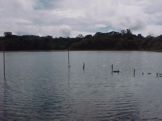 Figura 2 Lago Bolonha. Na Figura 1 pode-se observar que a água bombeada do rio Guamá é encaminhada ao Lago Água Preta, de onde seguir por gravidade até o Lago Bolonha.