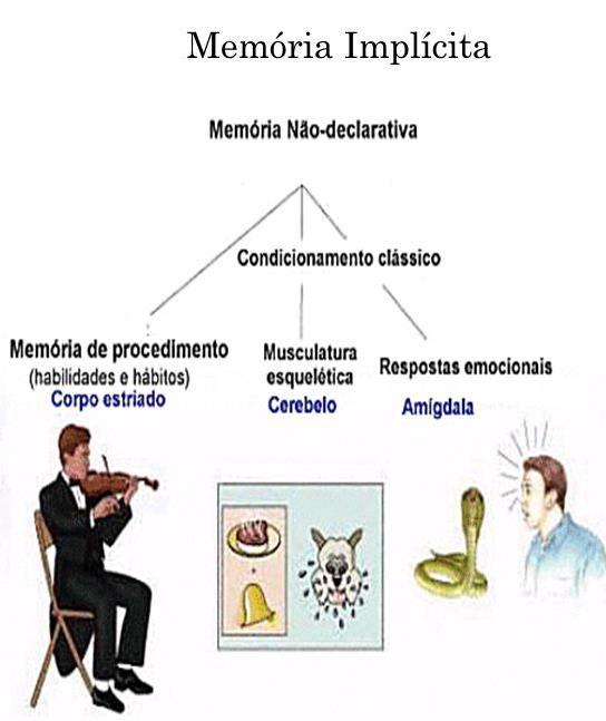 Voltando à memória explícita e implícita Memória declarativa ou explícita: Memória episódica - minha vida pessoal (quando e onde) Memória semântica as coisas que me rodeiam