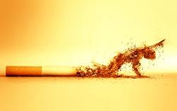 Escola Promotora de Saúde Prevenção do Consumo de substâncias psicoativas Tabaco Dados estatísticos Mais de dois terços dos fumadores europeus começam a fumar antes dos 18 anos e vão continuar a