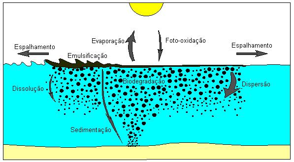 Processos que