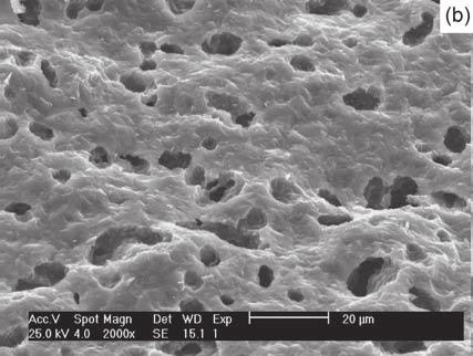 poros interconectados. No entanto, verifica-se que há grande quantidade de poros grandes (superiores a 10 µm), chegando a atingir tamanhos próximos de 20 µm.