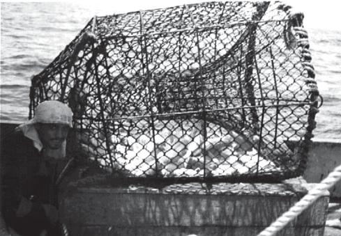 Embarcação do tipo caiqueira, usada na pesca do pargo.