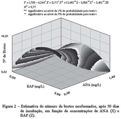 458 Roberto Fontes Araujo et al.