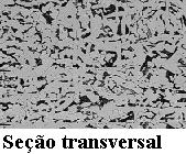 Microestrutura Através de análise metalográfica convencional