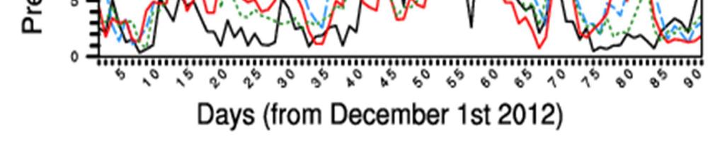 Daily mean precipitation for the period 01 December 2012 to 28