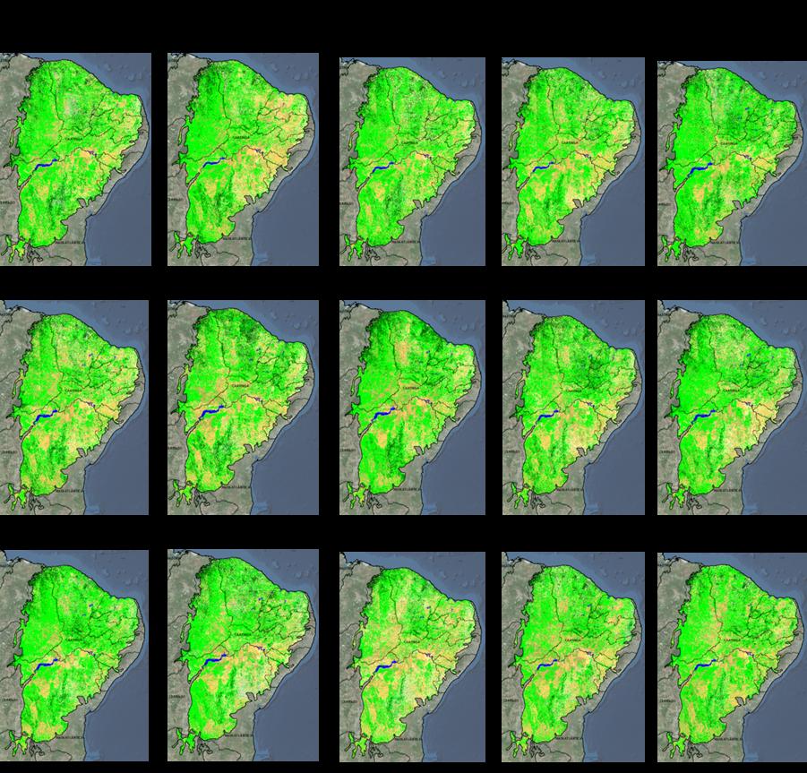 Evolução das Classes Legenda Floresta Densa Floresta Aberta Mangue