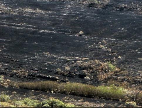 Apontar estratégias in situ de combate ao fogo baseado nos