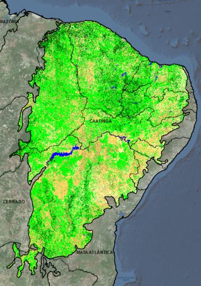 Evolução das Classes Coleção beta 1 Coleção beta 2 Coleção 1 Coleção -