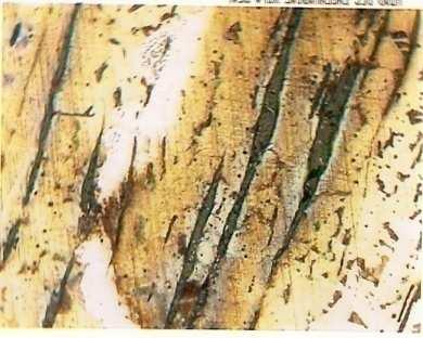 a) b) c) d) e) f) Figura 4. Microestruturas do material observadas em microscopia óptica: a) e d) ampliação de 100x, b) e e) ampliação de 500x e c) e f) ampliação de 1000x.