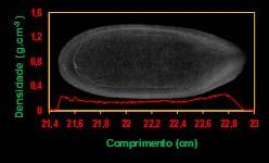 Comprimento (cm) 1 cm 4 cm Gomes Junior et al.