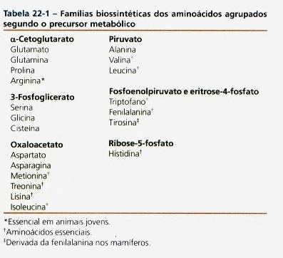 Os mamíferos sintetizam apenas perto da