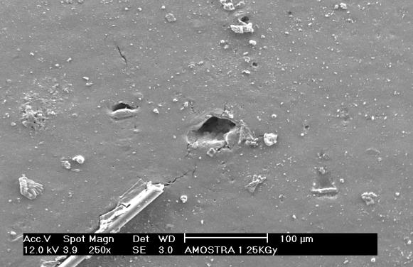 1 Microscopia Eletrônica de Varredura (MEV) com EDS dos compostos de borrachas butílica e halobutílica irradiados