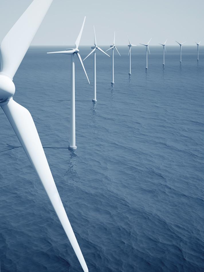 A indústria das energias renováveis marinhas (ERM), incluindo energia eólica offshore e energia das ondas, está a crescer na Europa e em Portugal.