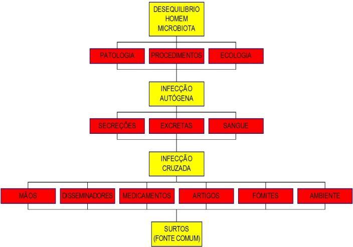 rede pública de atendimento do estado da Paraíba.