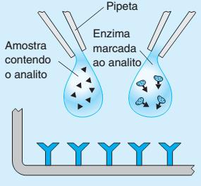 PROCEDIMENTO (KITS PARA IMUNOENSAIOS EM CAMPO) Na etapa 2, volumes iguais da amostra e de soluc a o-padra o contendo a enzima ligada ao analito são