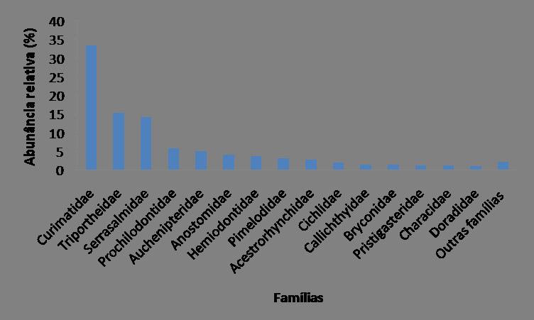 Figura 3- Distribuição das 27 famílias, das quais quinze foram consideradas mais abundantes. As demais foram agrupados em outras famílias.
