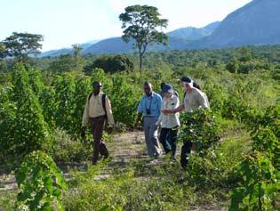 produzindo mudas de Jatropha. Uma das bombas de corda que foi dada aos camponeses.