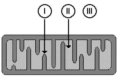 Considerando-se esses dois processos, seus conhecimentos e a charge anexa, responda: E em quais os seres vivos? 20. Observe as organelas representadas nas figuras anexas.